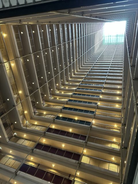 マルチトラス　タカミヤ